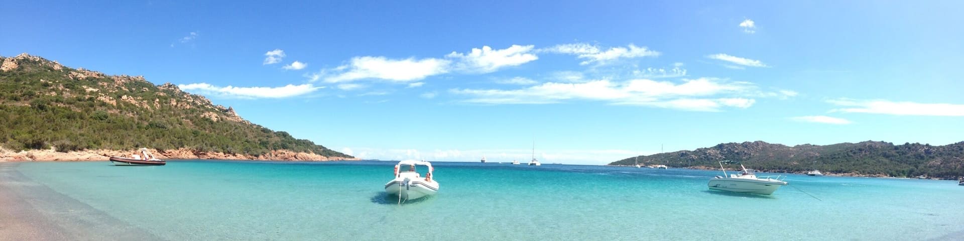 The beauty of the sea 🌊