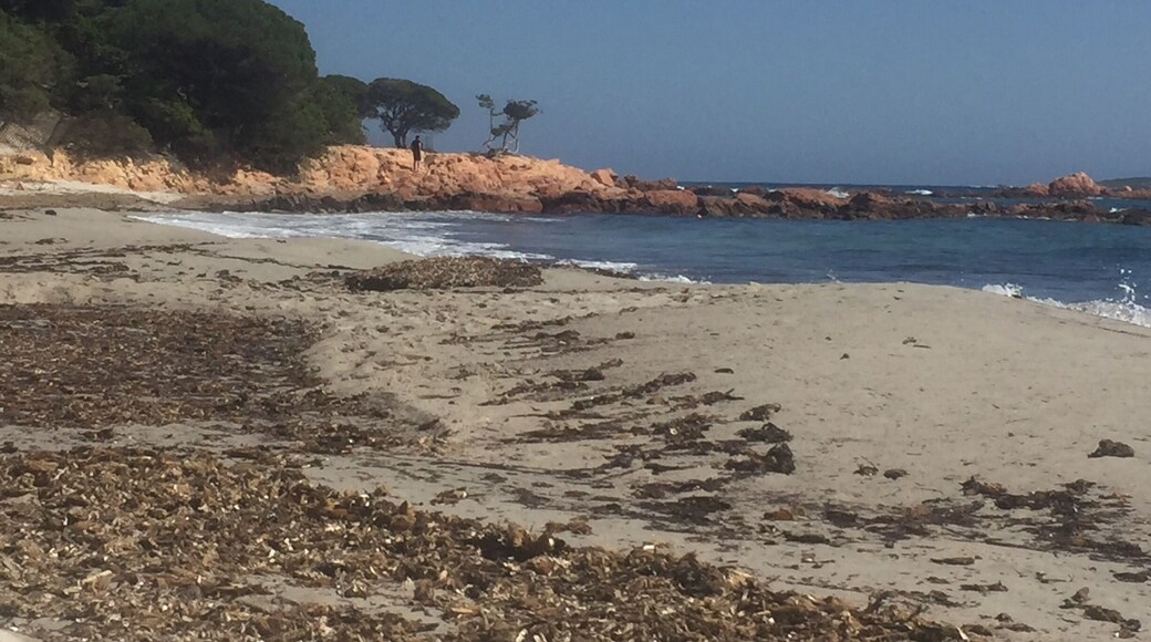 Nice beach quite close to Santa Giulia beach. More windy and with more waves, but nice area.