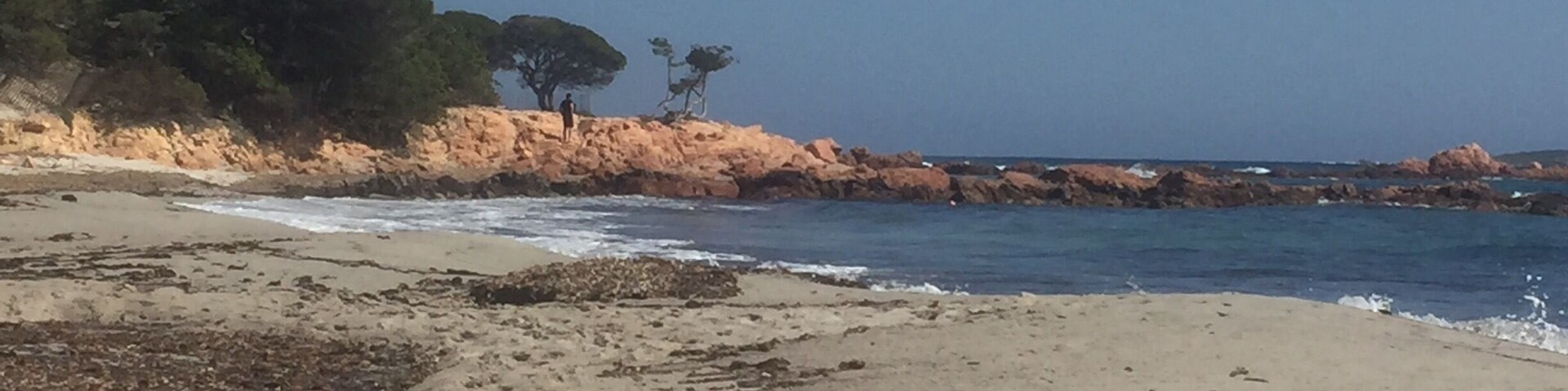 A beach with scattered seaweed, rocky outcrops, and sparse trees.