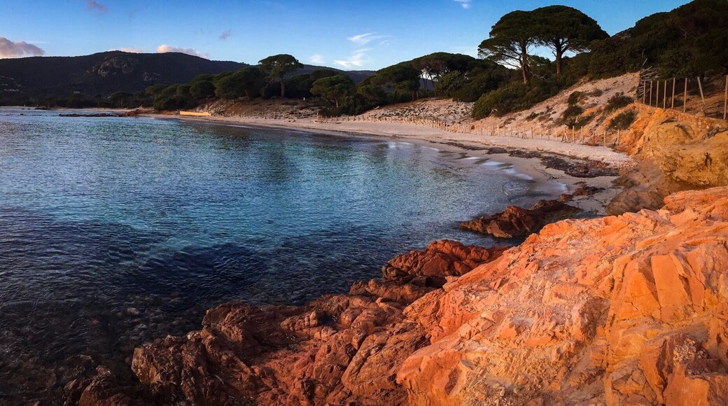 Probablement la plage la plus célèbre de Corse, avec son sable fin et blanc, ses roches rouges et ses pins!