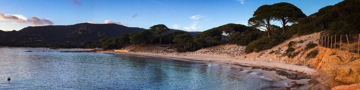 Probablement la plage la plus célèbre de Corse, avec son sable fin et blanc, ses roches rouges et ses pins!