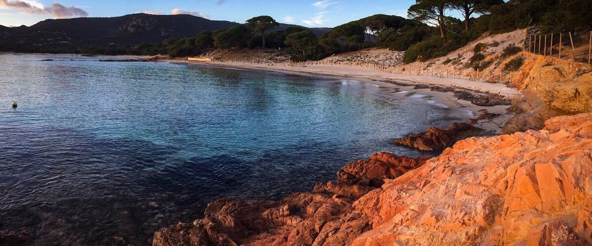 Probablement la plage la plus célèbre de Corse, avec son sable fin et blanc, ses roches rouges et ses pins!