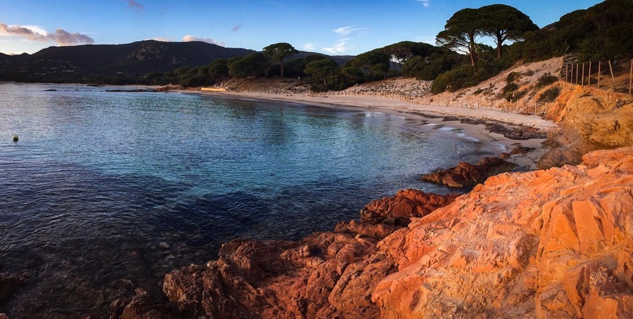 Probablement la plage la plus célèbre de Corse, avec son sable fin et blanc, ses roches rouges et ses pins!