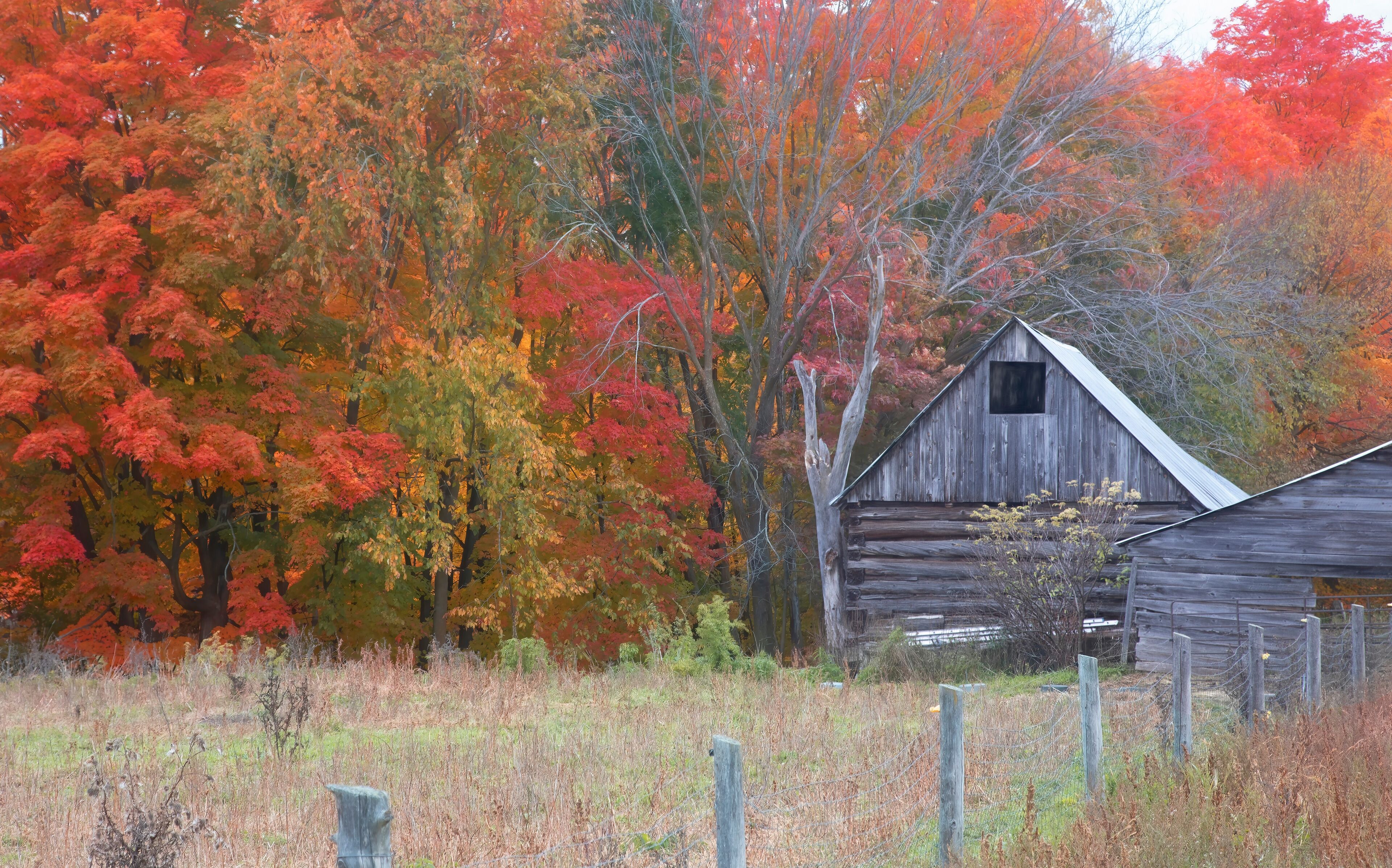 Old barn on a cold autumn morning near Renfrew, Canada