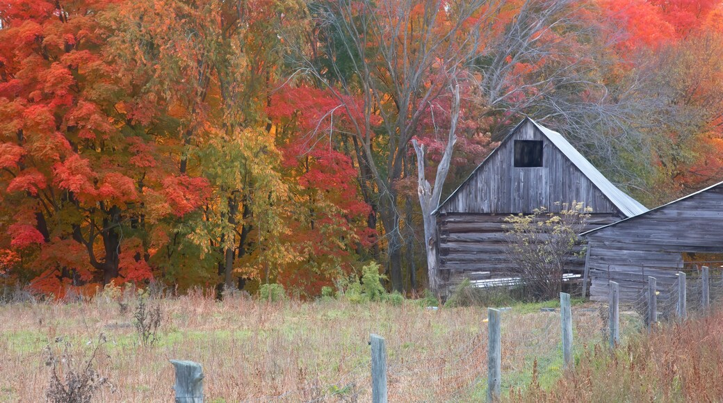 Old barn on a cold autumn morning near Renfrew, Canada