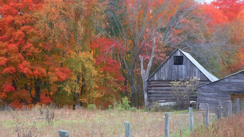 A rustic wooden barn surrounded by autumn foliage.