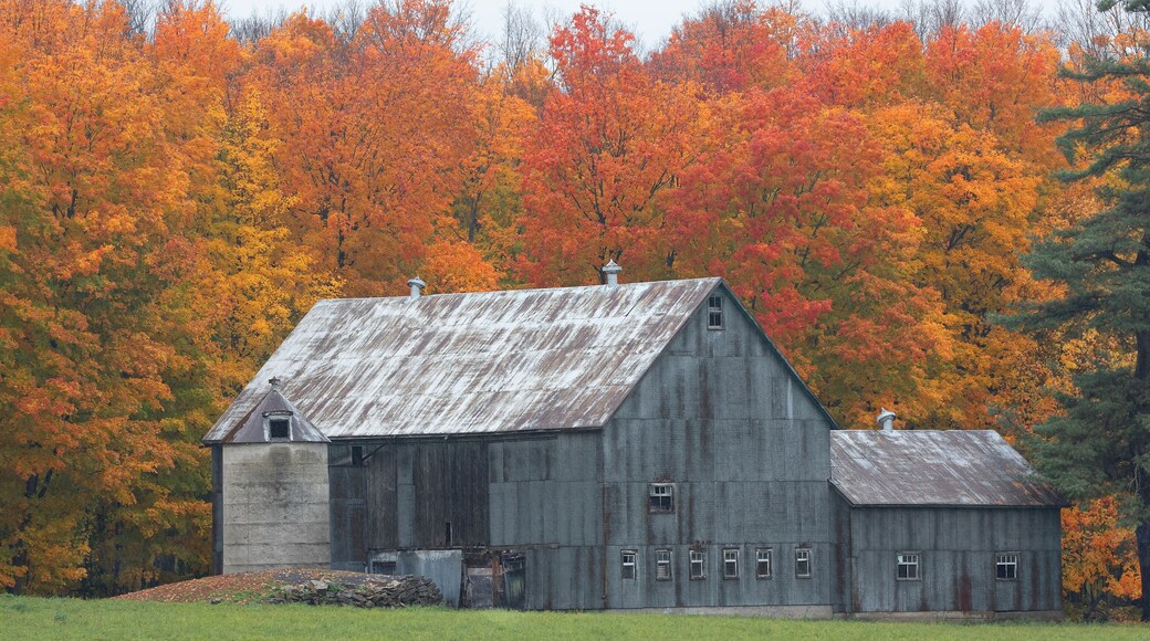 An old barn on a cold colourful autumn morning near Renfrew, Canada