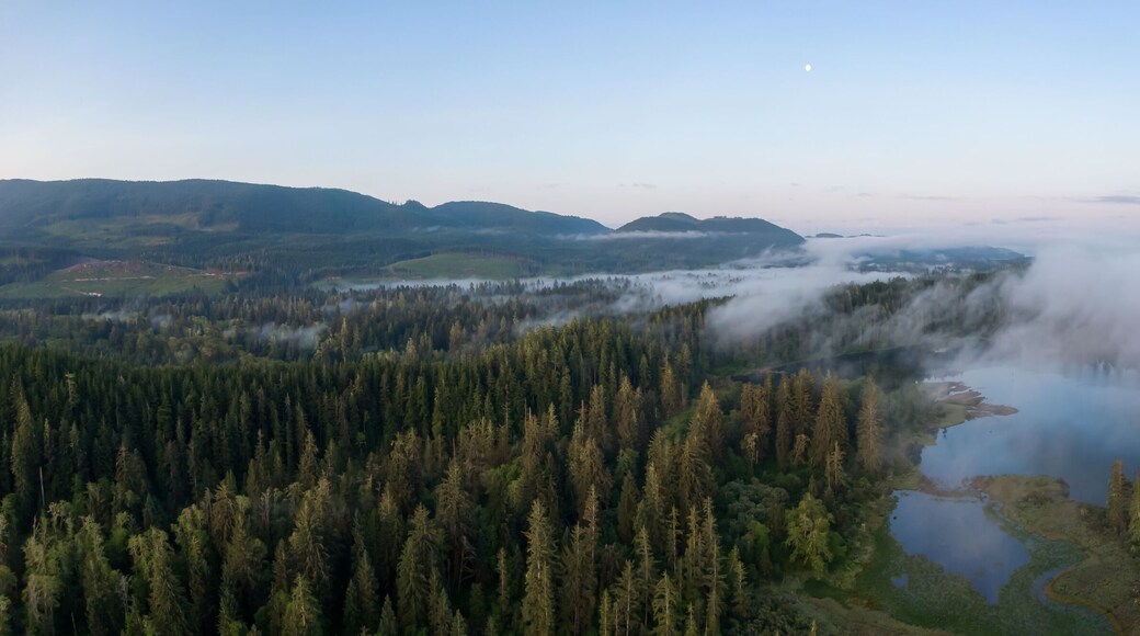 Aerial Panoramic View of Fairy Lake covered in clouds during a vibrant summer sunrise. Taken near Port Renfrew, Vancouver Island, British Columbia, Canada.