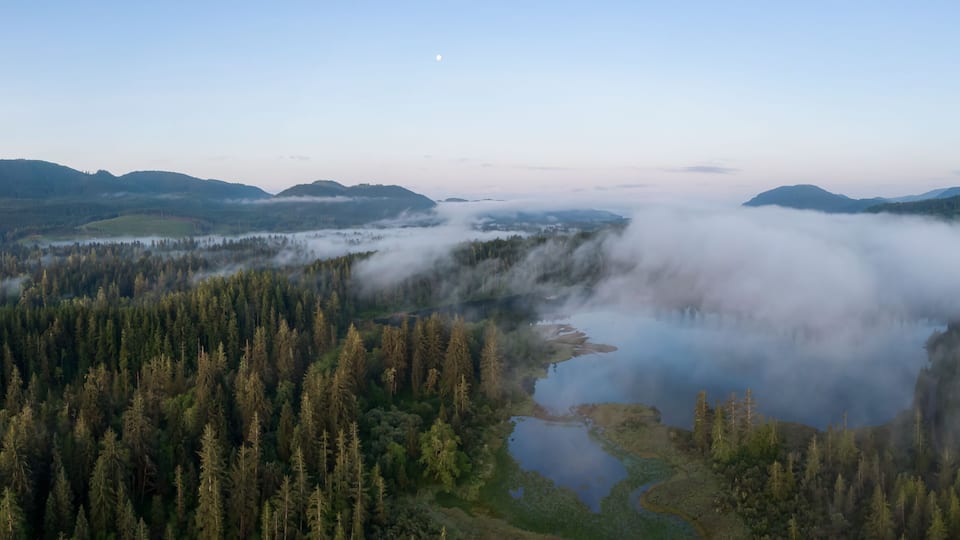 A forested valley with a river and mist-covered mountains.