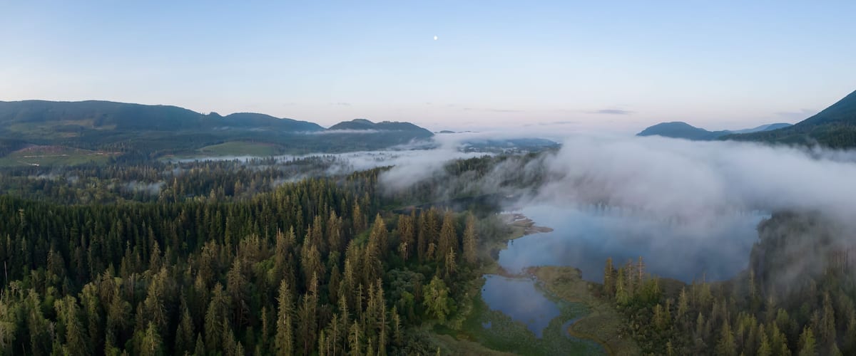 A forested valley with a river and mist-covered mountains.