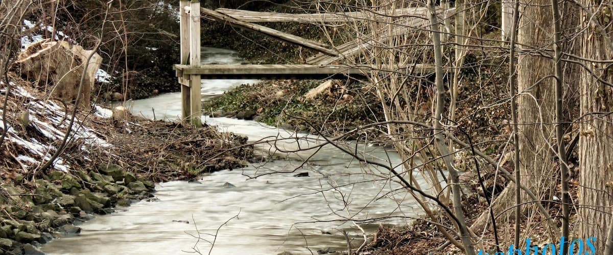 Creek runs through Ridgetown.