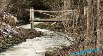Creek runs through Ridgetown.