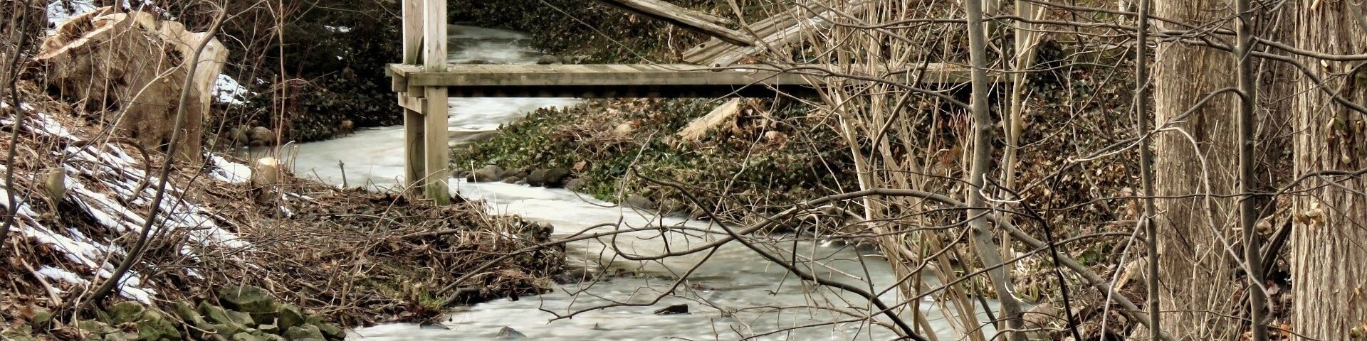 Creek runs through Ridgetown.