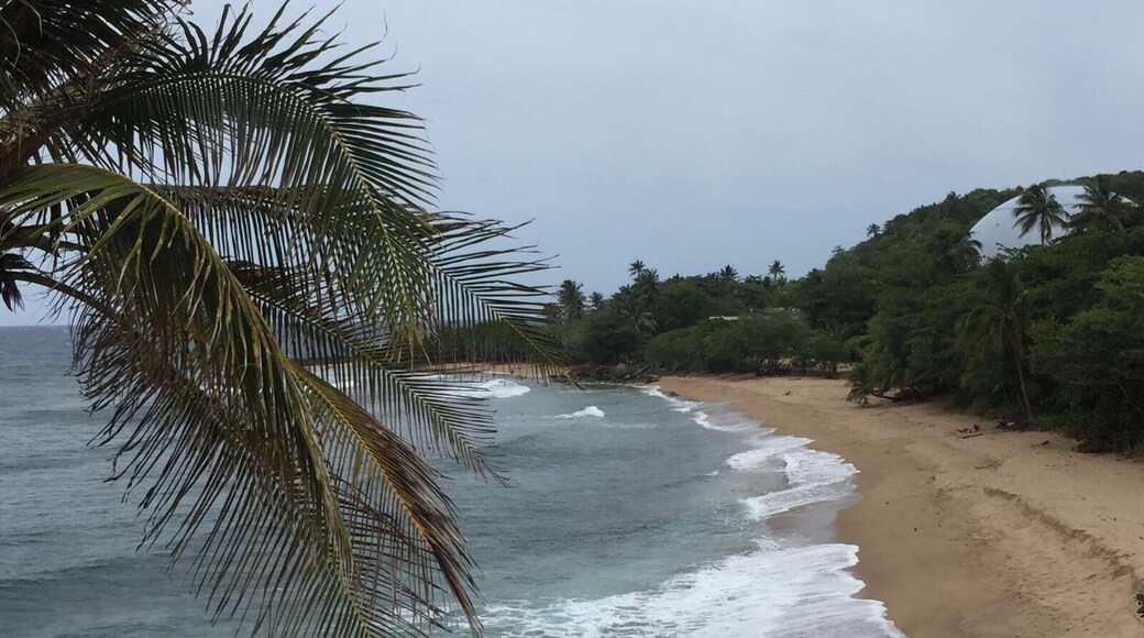 View from "El Faro de Rincon" #blue