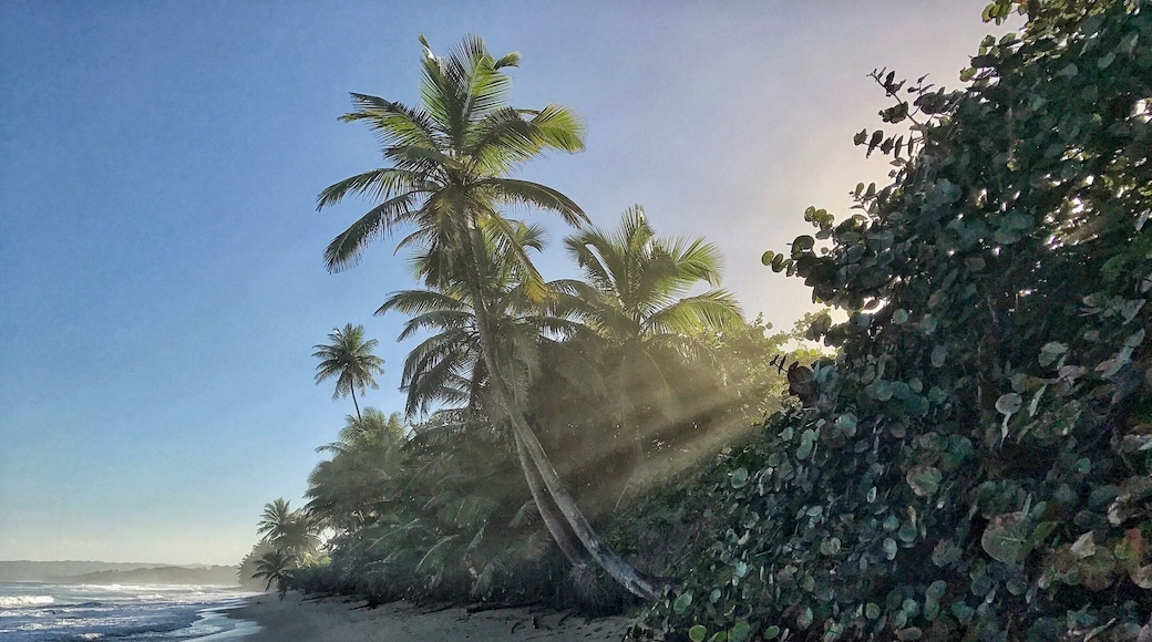 Domes Beach for great surfing! #beachtips