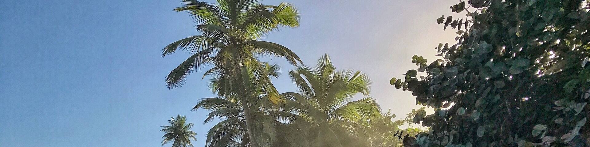 Domes Beach for great surfing! #beachtips