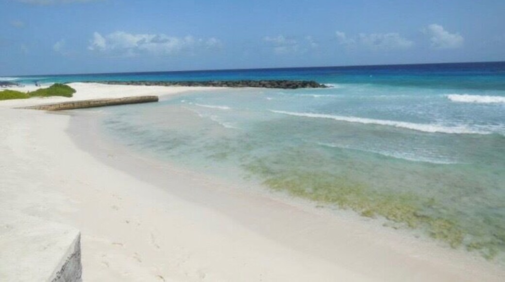 Bridgetown Shoreline.