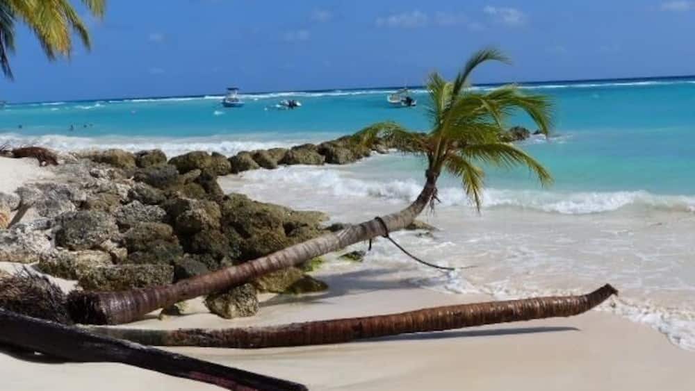 A beautiful island and an amazing beach ... love Barbados