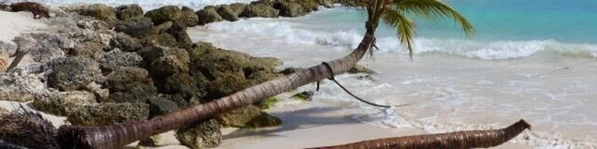 A beautiful island and an amazing beach ... love Barbados