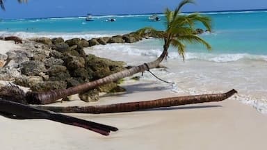 A beautiful island and an amazing beach ... love Barbados