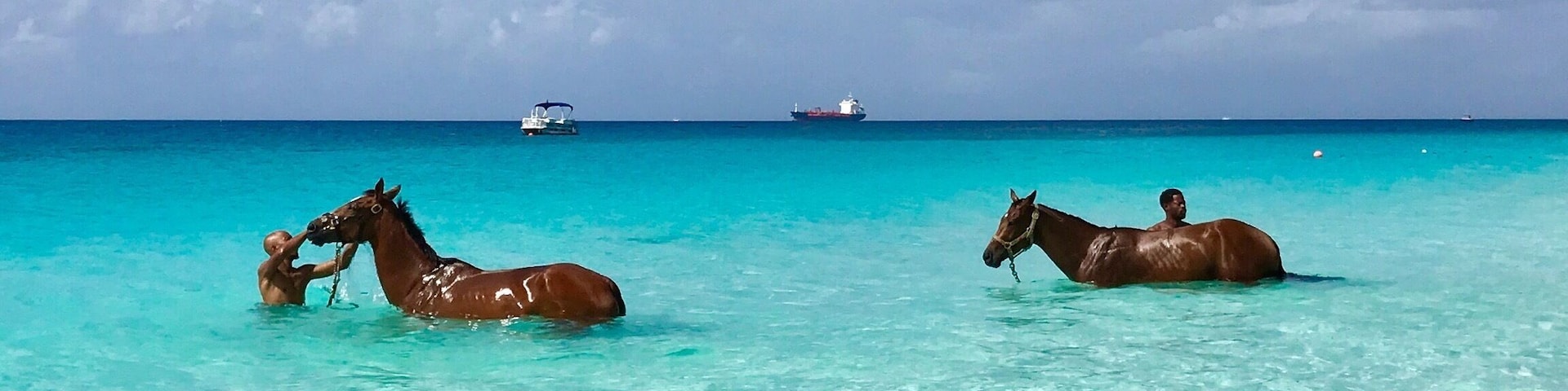Dos caballos en aguas turquesas cristalinas, con un barco y una embarcación a lo lejos.