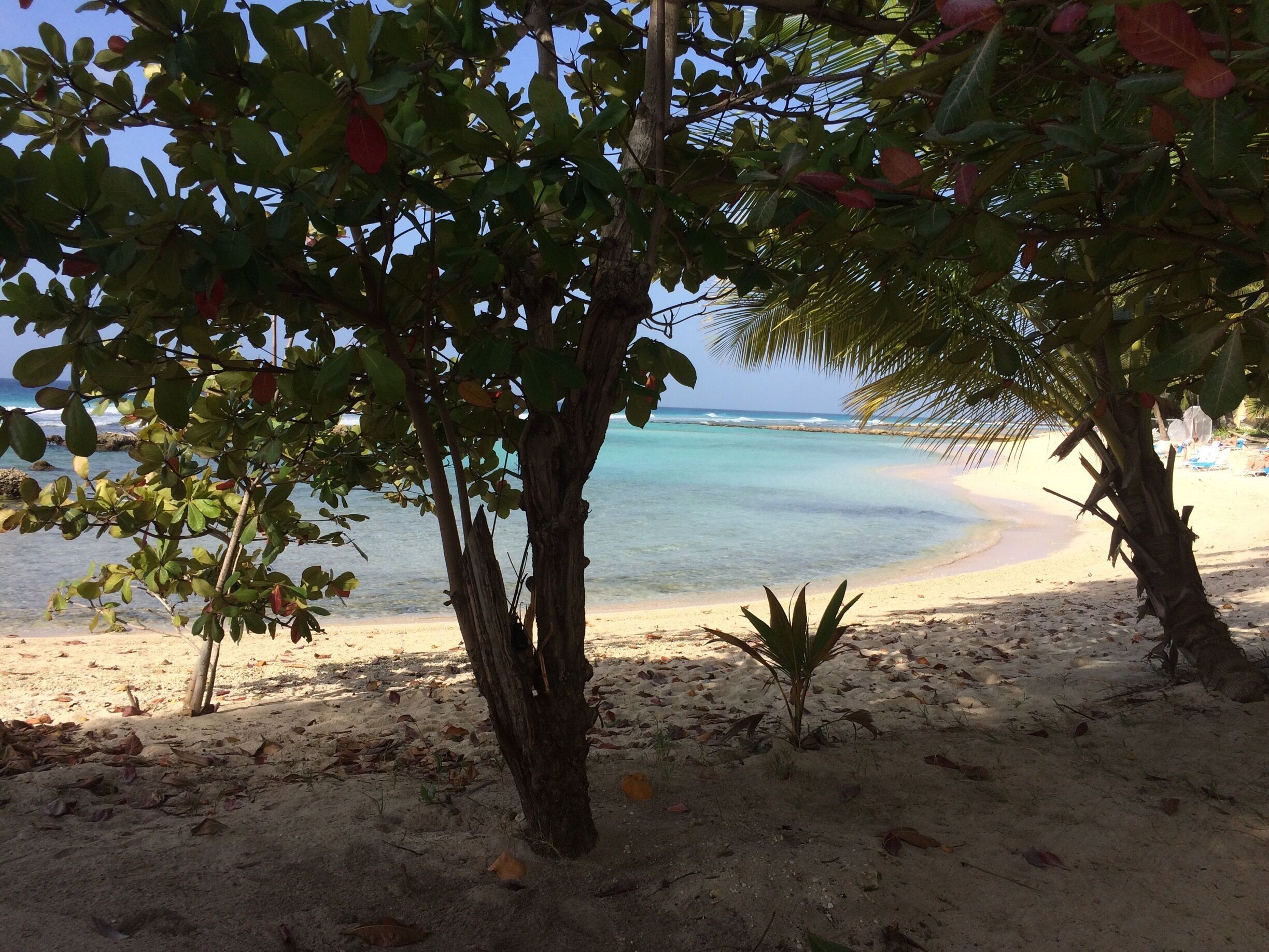 Beautiful beach, beautiful resort, beautiful people.