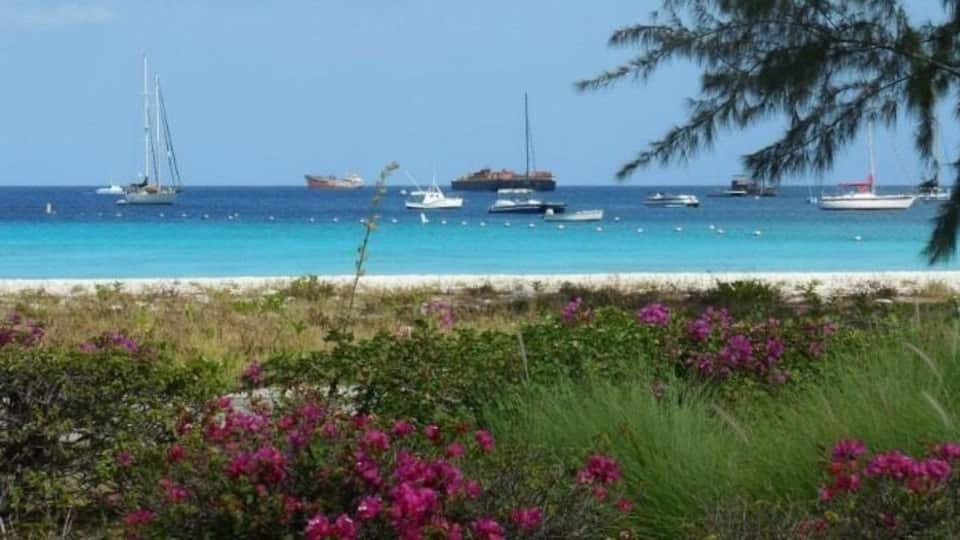 Shoreline in Bridgetown.