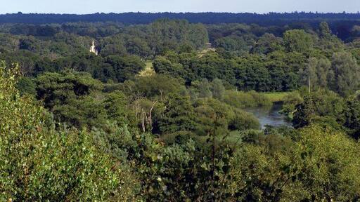 View across the Avon Valley from Matchams viewpoint Looking across the Avon valley from the car park at Matchams viewpoint. The chapel illuminated by sunlight in the trees to the left of the photo is at Bisterne, and the building towards the centre is Bisterne Manor.