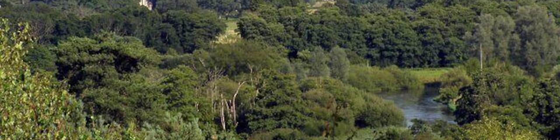 View across the Avon Valley from Matchams viewpoint Looking across the Avon valley from the car park at Matchams viewpoint. The chapel illuminated by sunlight in the trees to the left of the photo is at Bisterne, and the building towards the centre is Bisterne Manor.