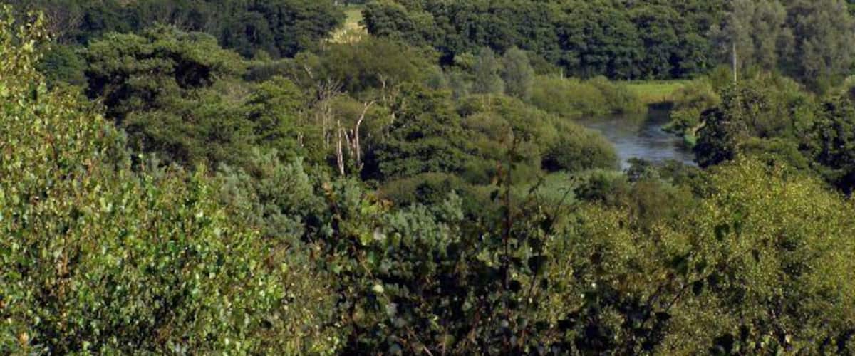 A river winding through a dense forest with a distant tower.