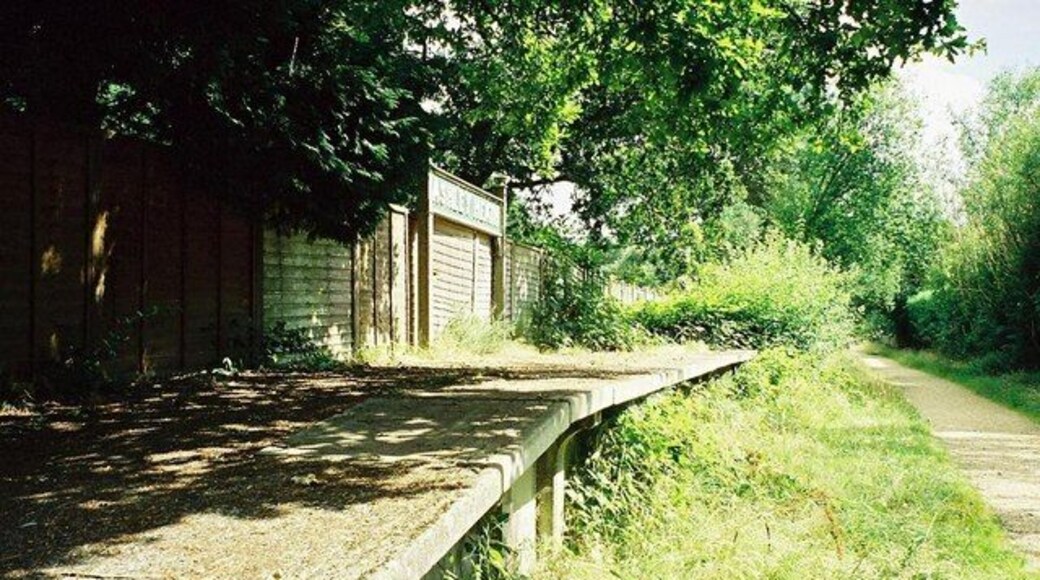 Ashley Heath: old railway platform This former railway line is now a pleasant forest walk from West Moors to Ringwood.