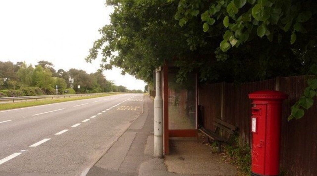 St. Leonards: postbox № BH24 45, Ringwood Road This George VI-reign postbox stands outside what was St. Leonards post office until about 20 years ago. It is emptied at 9am daily except Sundays. Meanwhile, we look along the north/eastbound carriageway of the main A31 in a rare moment with no visible traffic.