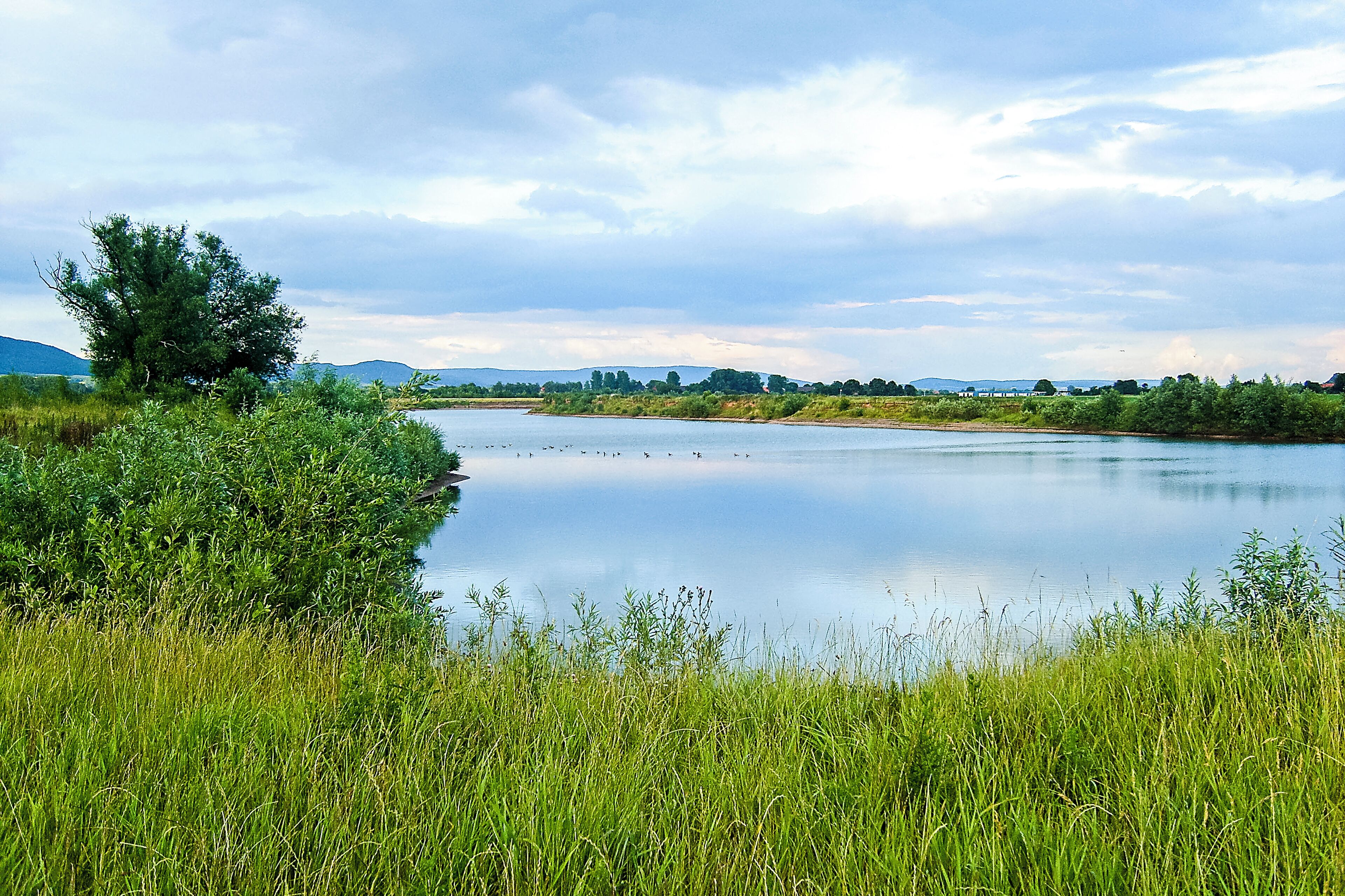 Un río tranquilo con abundante vegetación y árboles en sus orillas.