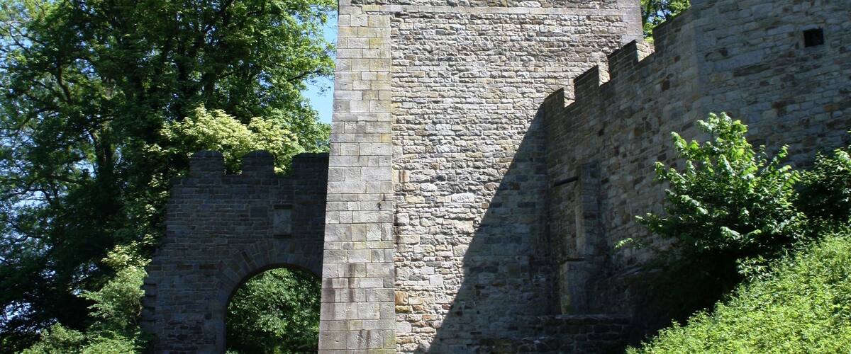 Die Schaumburg ist eine Höhenburg im Gebiet der Stadt Rinteln im Landkreis Schaumburg in Niedersachsen.