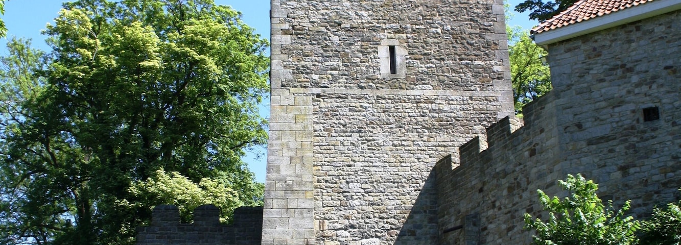 Die Schaumburg ist eine Höhenburg im Gebiet der Stadt Rinteln im Landkreis Schaumburg in Niedersachsen.