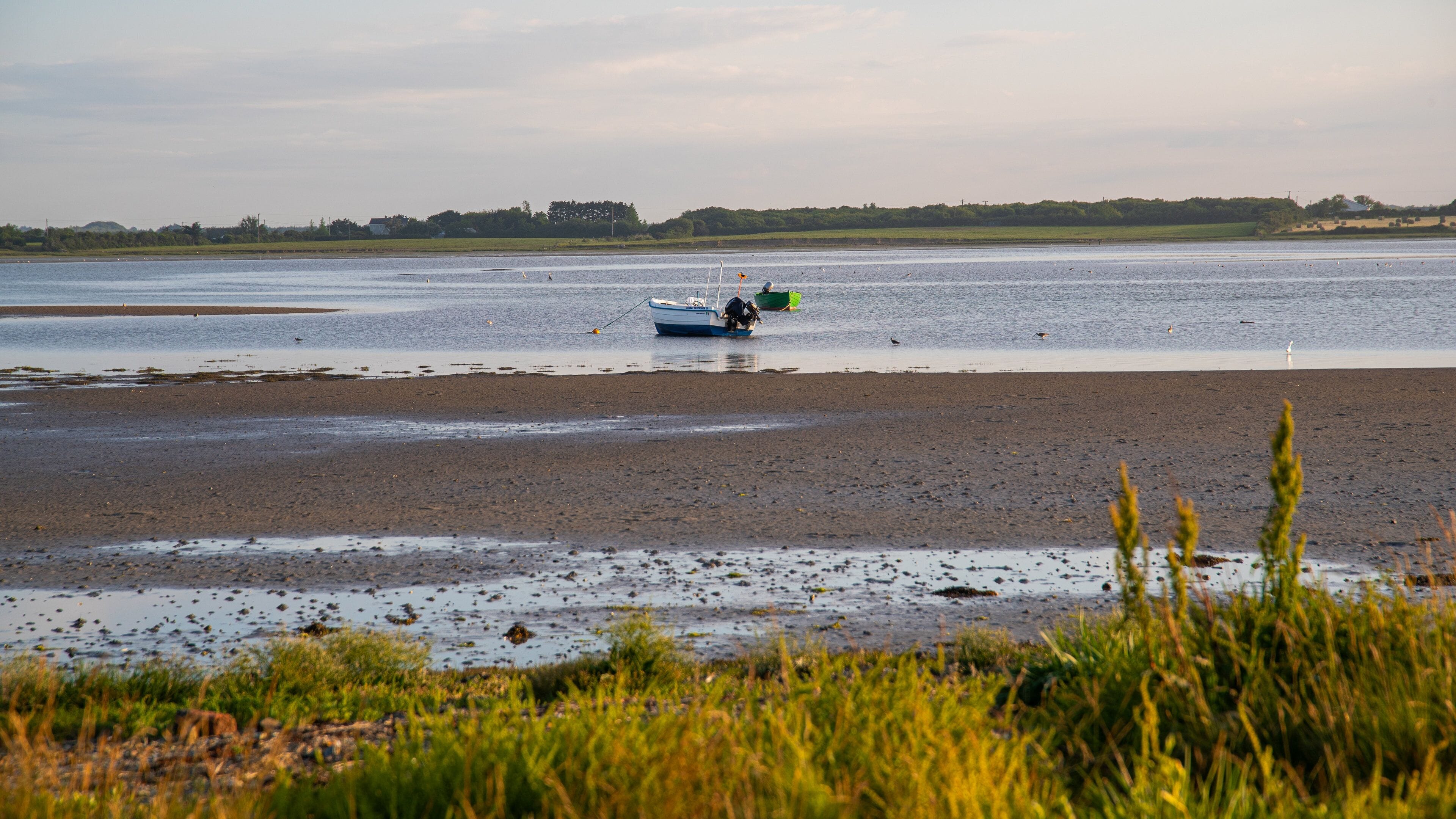 Rosslare showing general coastal views, a sandy beach and a sunset