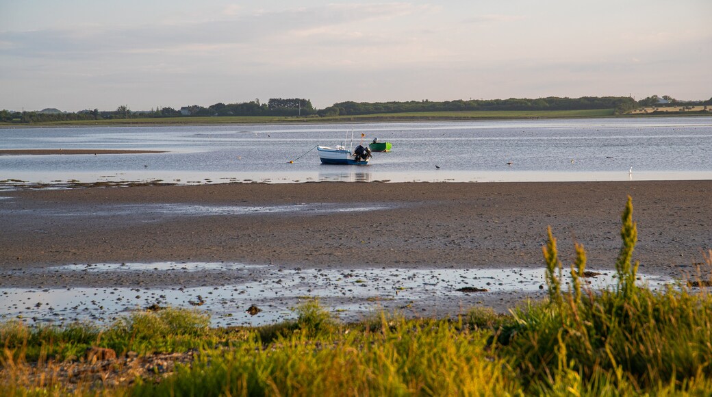 Rosslare showing general coastal views, a sandy beach and a sunset