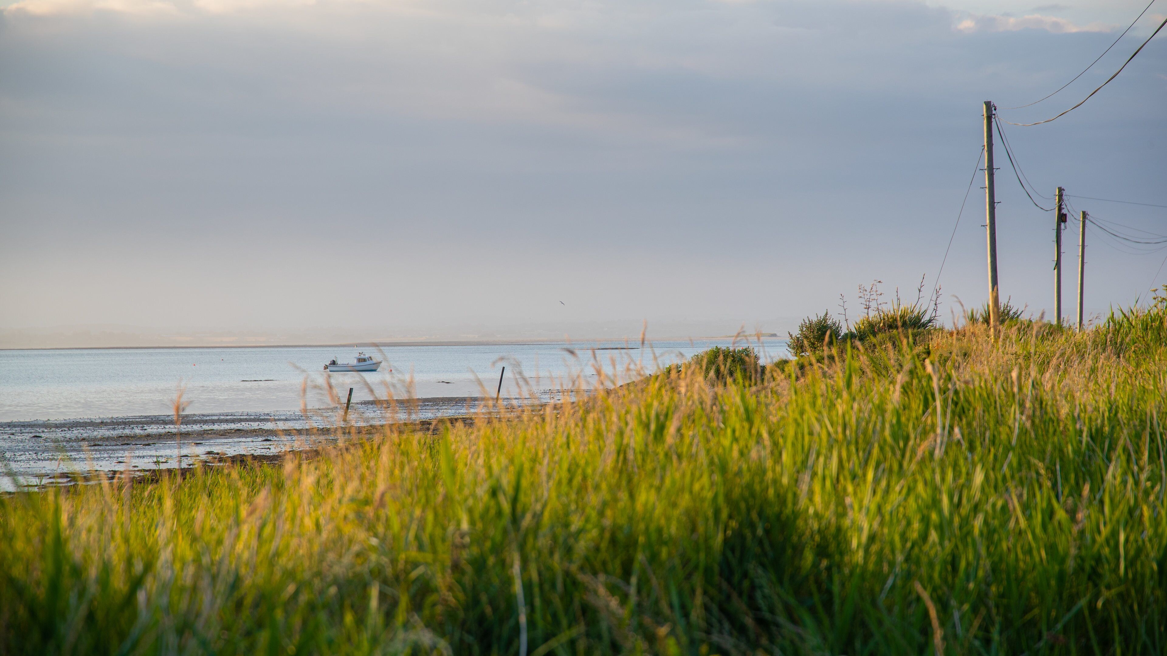Rosslare which includes a sunset and general coastal views