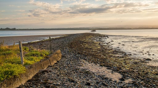 Rosslare featuring general coastal views, a pebble beach and a sunset