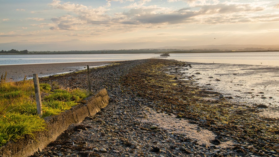 Rosslare featuring general coastal views, a pebble beach and a sunset
