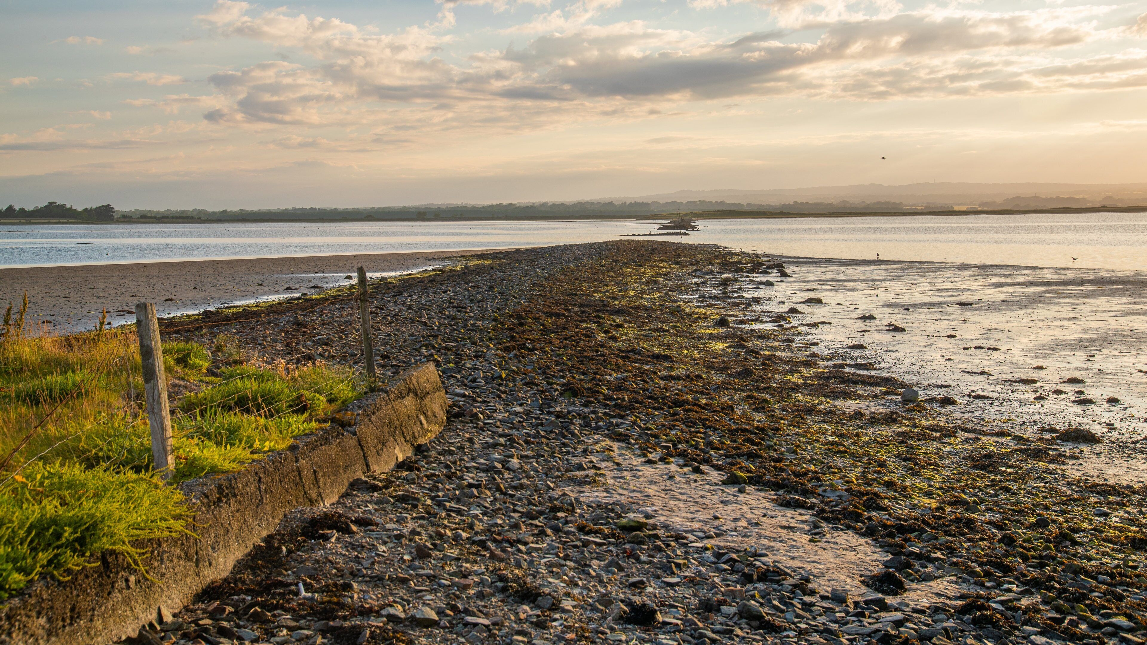 A rocky shoreline with a fence and seaweed, a calm body of water, and a distant lighthouse.
