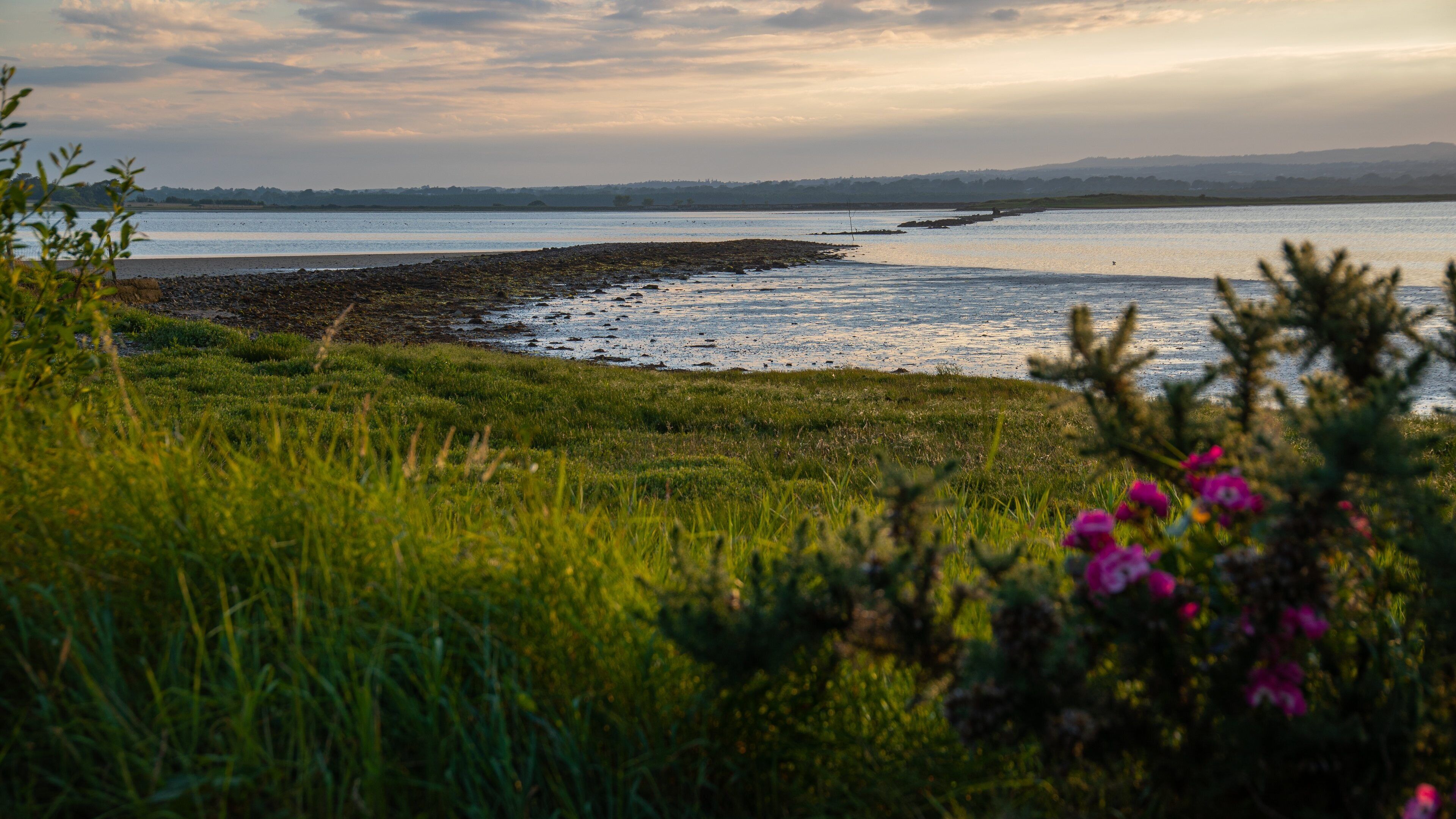 Rosslare featuring a sunset and general coastal views