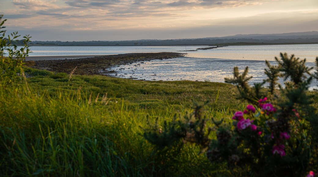 Rosslare featuring a sunset and general coastal views