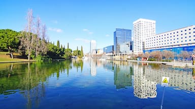 Un río que refleja edificios y árboles.