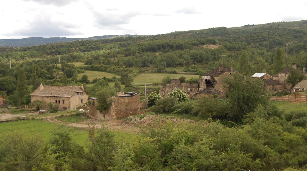 General overview Lasaosa village. Summer 2009
