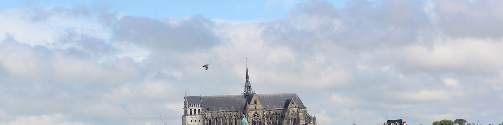 Uma catedral histórica com uma torre alta, rodeada por um horizonte urbano e árvores.
