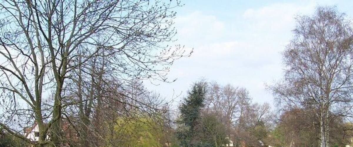 A park with a pond, trees, and a walking path.