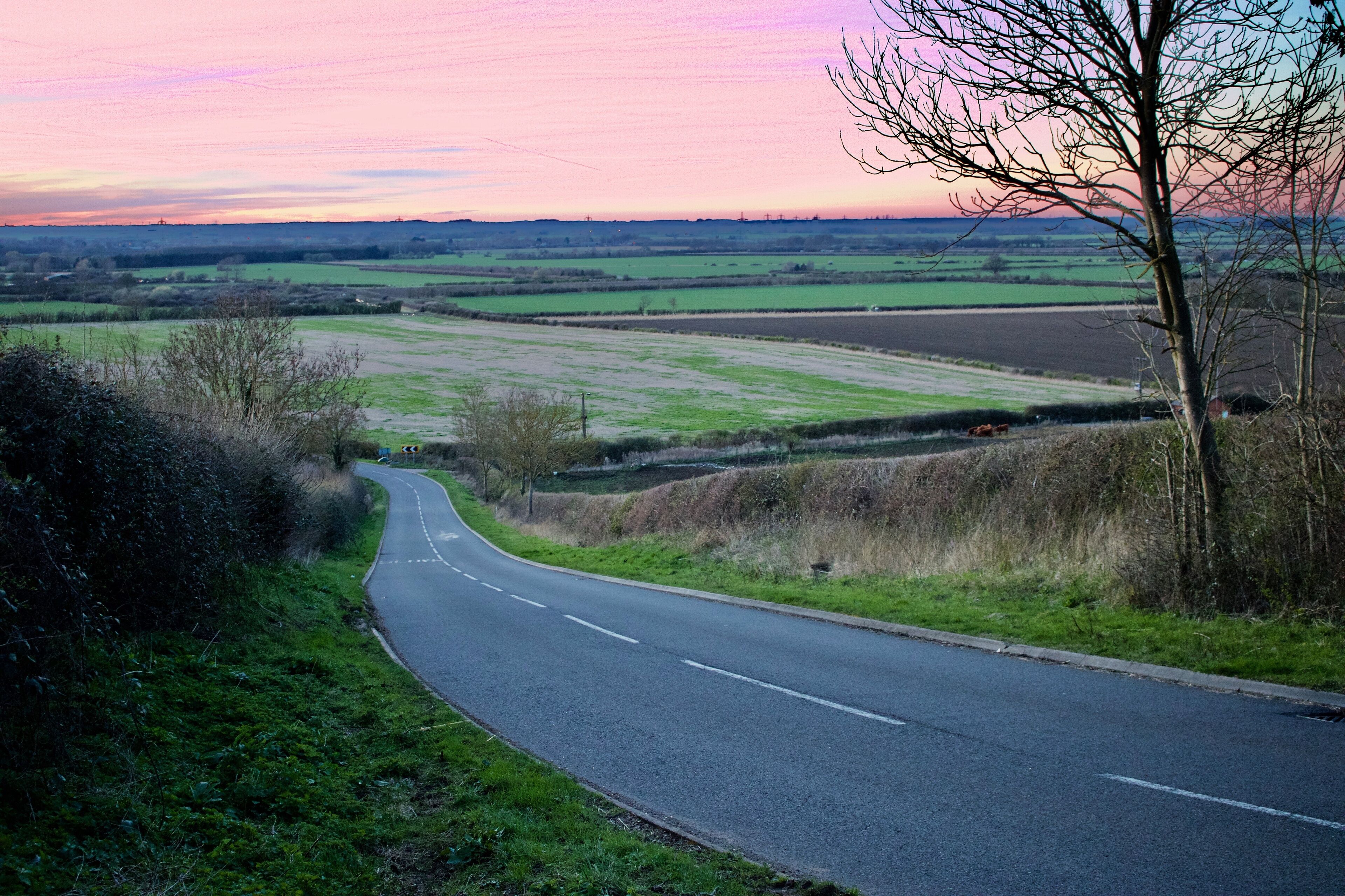 A curving road in a rural landscape with fields and a tree line.
