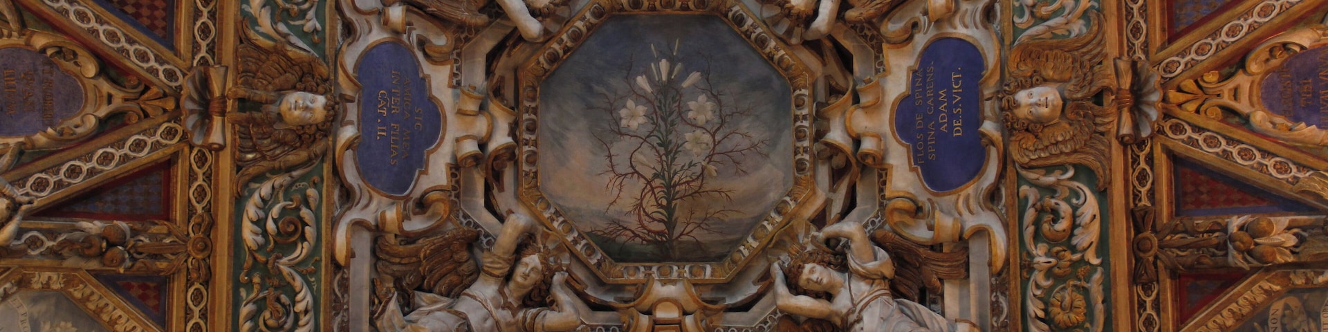 Santuario della Beata Vergine dei Miracoli, Saronno, Lombardy, Italy Santuario della Beata Vergine dei Miracoli Native name Santuario della Beata Vergine dei Miracoli Location Saronno, Lombardy, Italy Coordinates 45° 37′ 35.04″ N, 9° 01′ 32.88″ E Established 8 May 1498 Web page www.santuariodisaronno.it Authority control : Q3471763