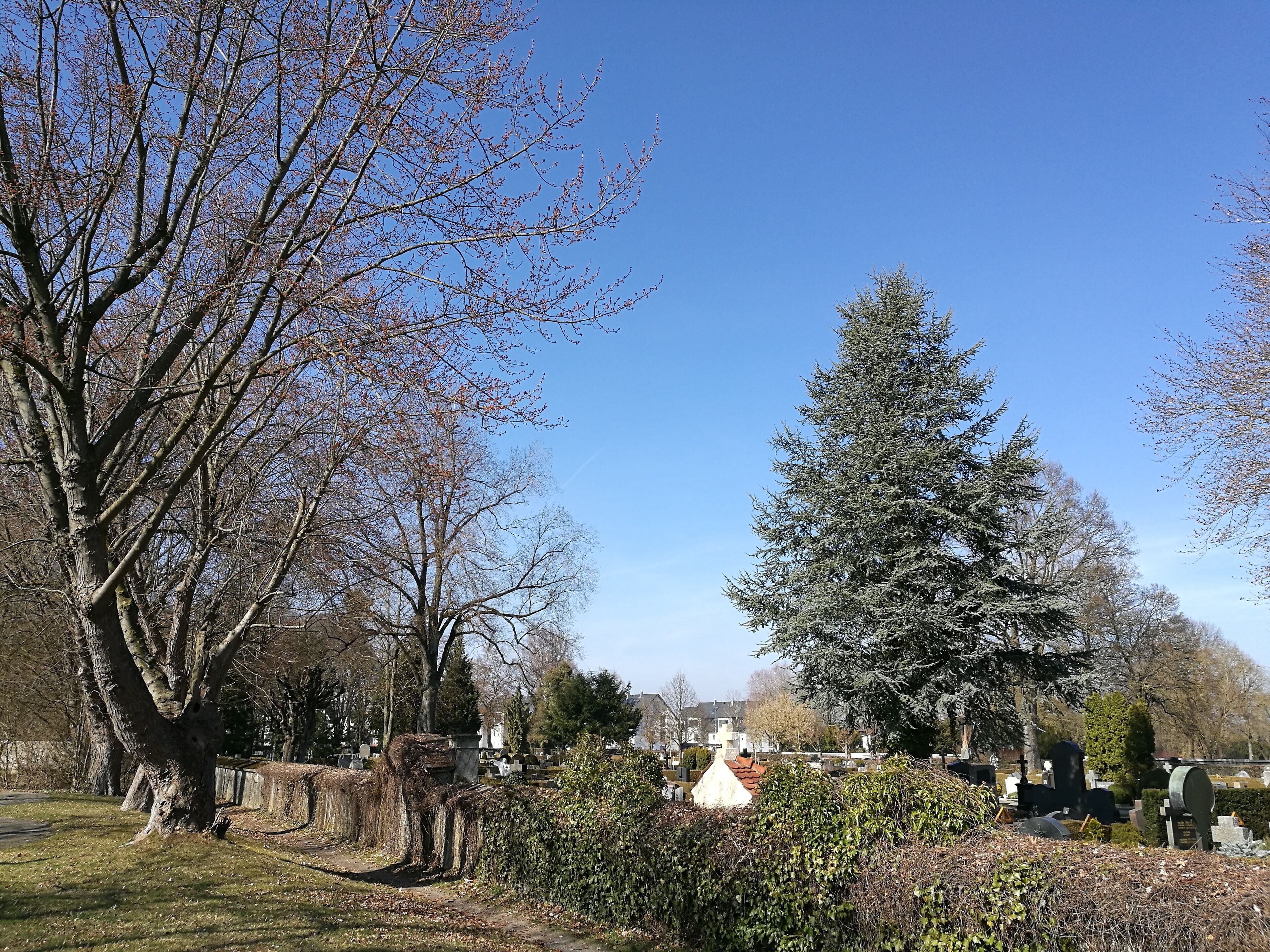 Deutschland (D) - Baden-Württemberg (BW) - Landkreis Sigmaringen (SIG) - Bad Saulgau: "Alter Friedhof", Teil des Landschaftsschutzgebiets "Landschaftsteil bei der Frauenkapelle"